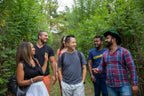 Group walking through green forest trail with local guide. Explore Sri Lanka - Land & Sea Tour Options offers eco-friendly land adventures.