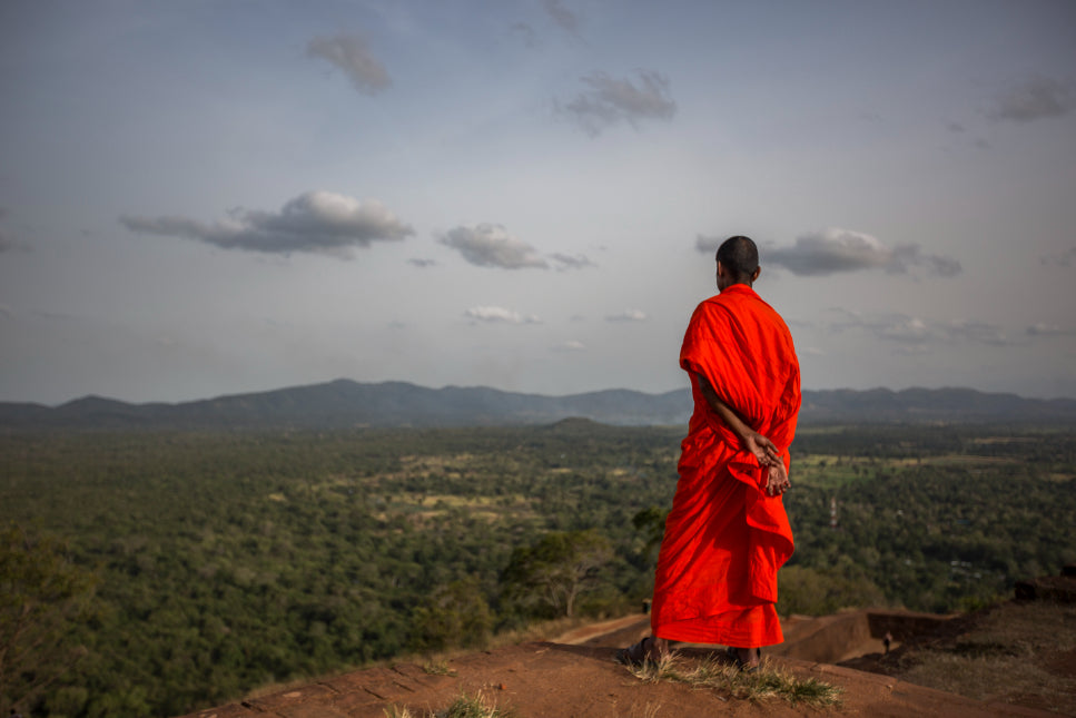 Buddhist monk overlooking vast forested landscape in Sri Lanka. Explore Sri Lanka - Land & Sea Tour Options includes spiritual and scenic moments.