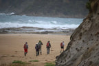 Group hiking along the Great Ocean Walk near the Twelve Apostles, surrounded by stunning coastal scenery.