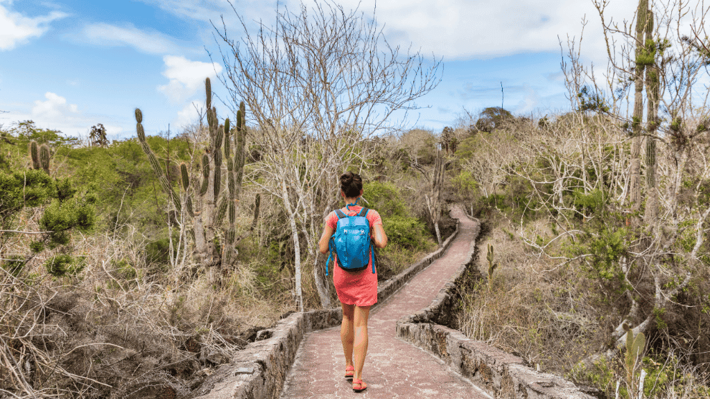 Galápagos Express: Island Hops, Snorkelling & Sea Lions (7–9 Days)
