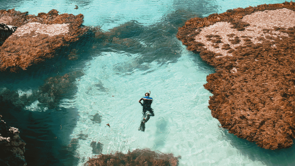 Galápagos Express: Island Hops, Snorkelling & Sea Lions (7–9 Days)