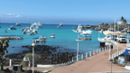 Galápagos Express: Island Hops, Snorkelling & Sea Lions (7–9 Days)