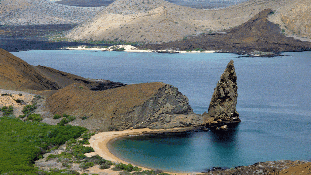 Galápagos Express: Island Hops, Snorkelling & Sea Lions (7–9 Days)