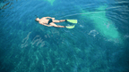 Galápagos Express: Island Hops, Snorkelling & Sea Lions (7–9 Days)