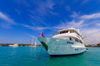 Galápagos Small Ship Voyage | 8/10 Days East to Western Islands