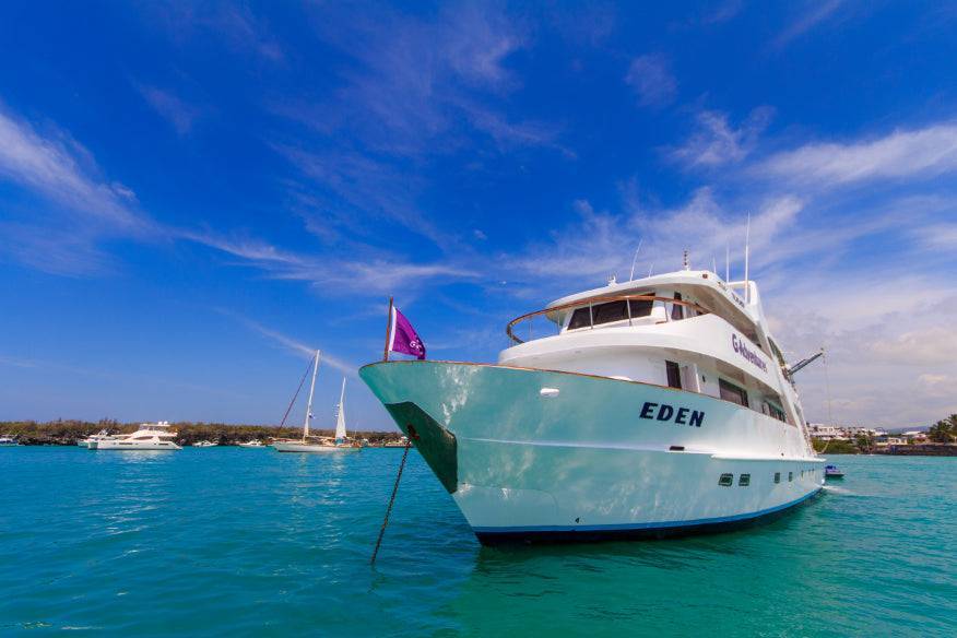 Galápagos Small Ship Voyage | 8/10 Days East to Western Islands