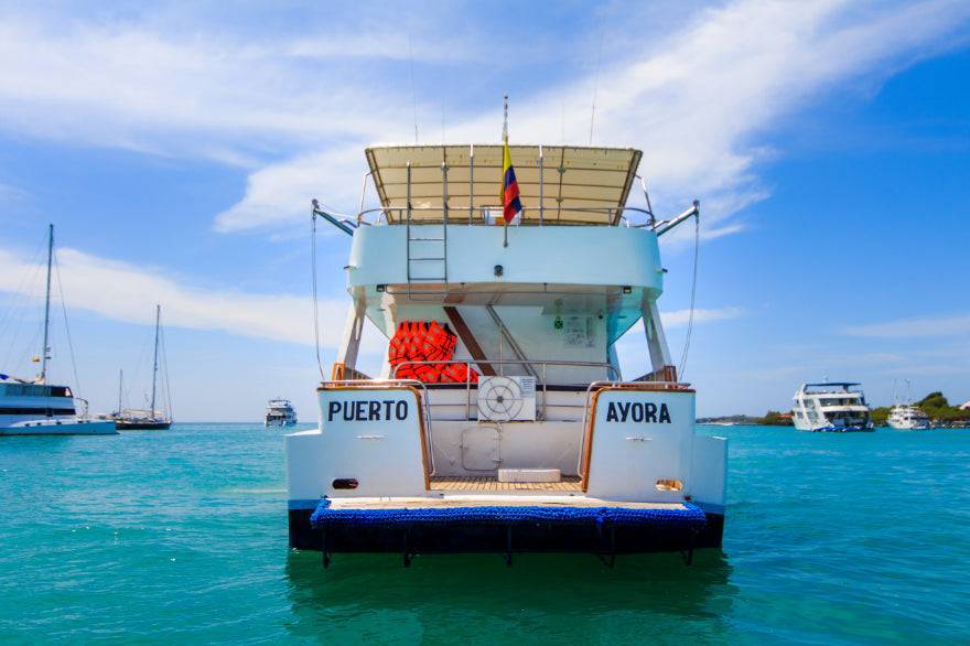 Galápagos Small Ship Voyage | 8/10 Days East to Western Islands