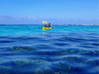 Two kayakers paddling over vibrant reef waters on the Ningaloo Safari 3-Day Tour. Ideal for ocean adventure seekers.