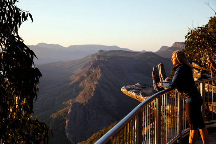 Grampians National Park Day Tour from Melbourne: Wildlife, Waterfalls & Aboriginal Culture Discovery