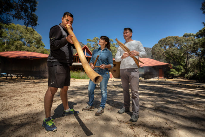 Grampians National Park Day Tour from Melbourne: Wildlife, Waterfalls & Aboriginal Culture Discovery