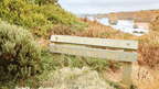Sign marking a revegetation area along the Great Ocean Walk, with coastal cliffs in the background.