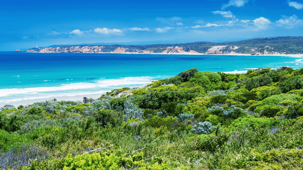 Breathtaking coastal view of Victoria's southern coastline along the Great Ocean Walk, perfect for outdoor adventures.