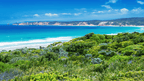 Breathtaking coastal view of Victoria's southern coastline along the Great Ocean Walk, perfect for outdoor adventures.