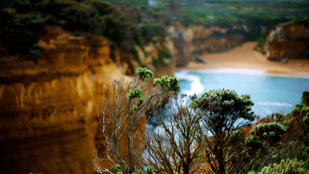 Lush greenery and cliffs overlooking the ocean along the Twelve Apostles Trek on Victoria's coastline.