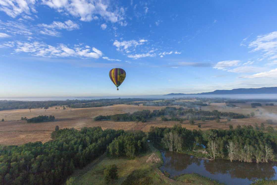 Hunter Valley Wine Tasting & Gourmet Day Tour from Sydney