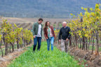 Hunter Valley Wine Tasting & Gourmet Day Tour from Sydney