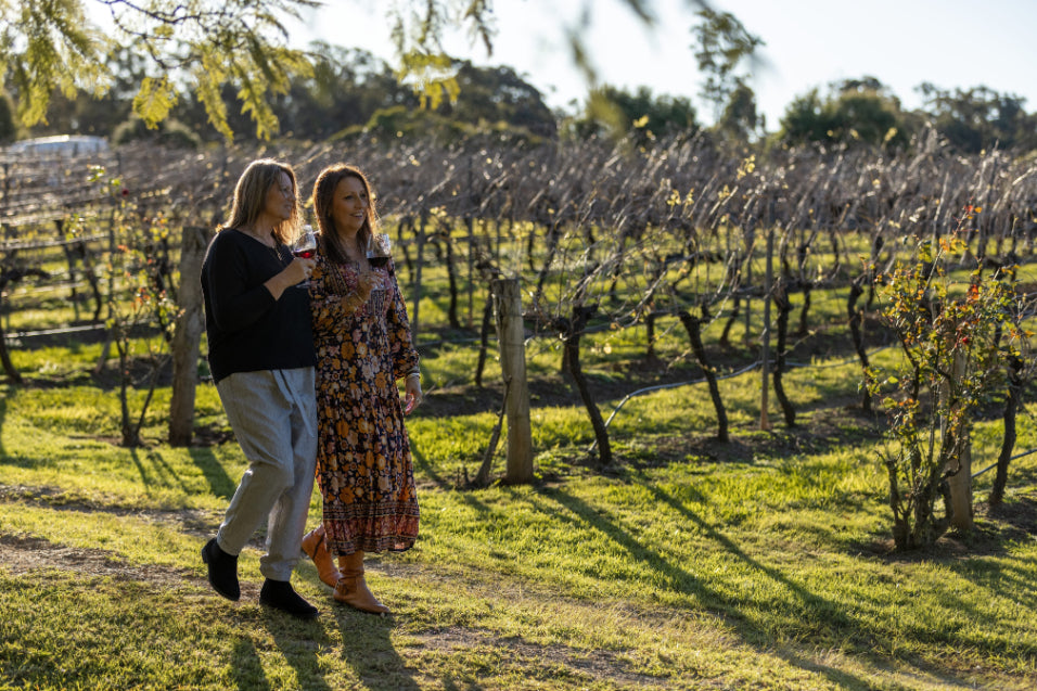 Hunter Valley Wine Tasting & Gourmet Day Tour from Sydney