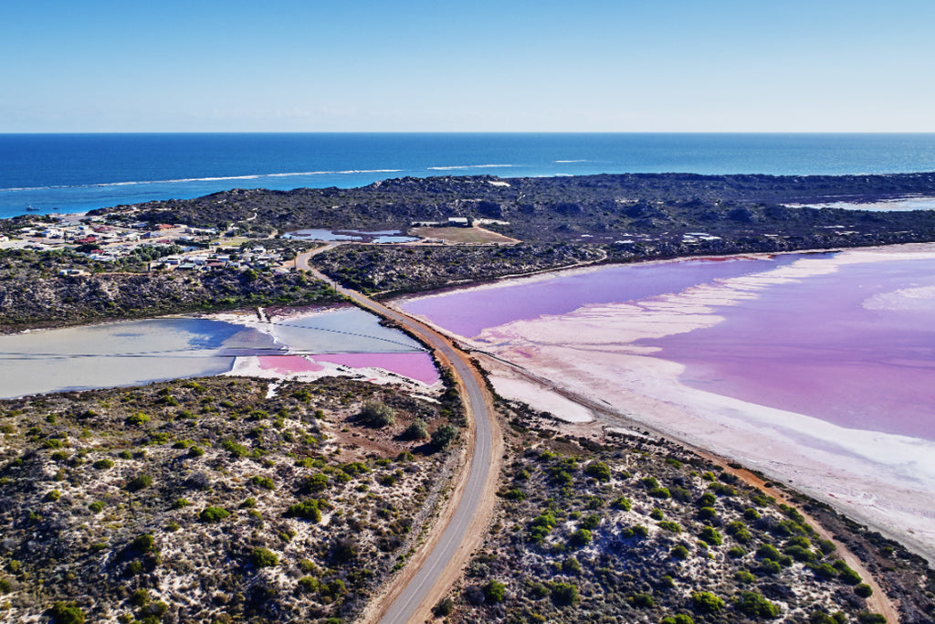 4 Day Monkey Mia Tour from Perth