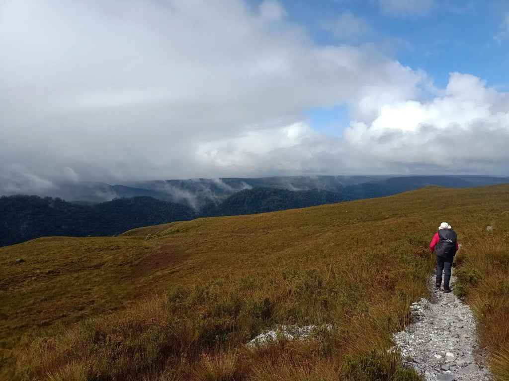 Person hiking on a trail in a mountainous landscape with clouds and blue sky.