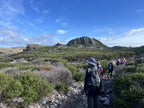 Group of people hiking on a trail with scenic landscape and blue sky.