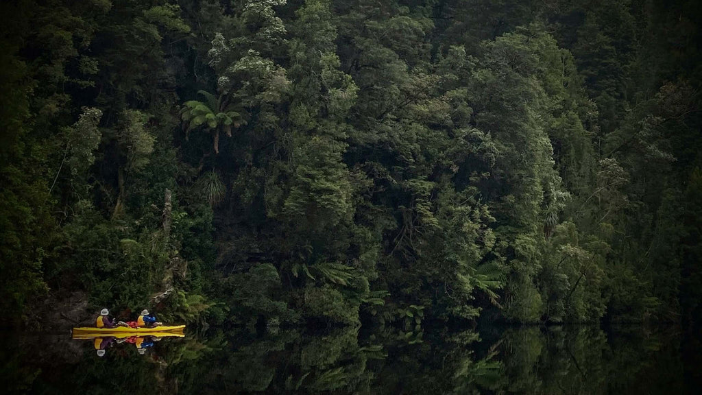 Gordon River Kayaking | 7‑Day Wilderness Paddle in World Heritage Tasmania