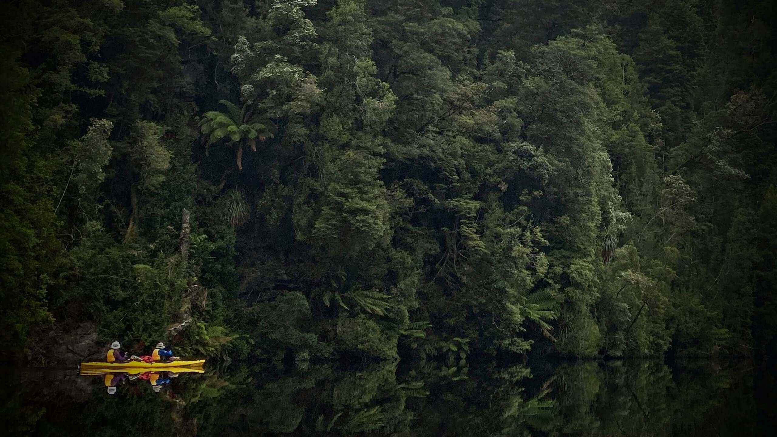 Gordon River Kayaking | 7‑Day Wilderness Paddle in World Heritage Tasmania