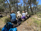 Daylesford & Goldfields Track 4-Day Walking Tour | Spa, Trails & Heritage Towns