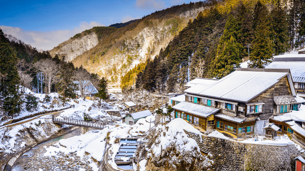 Japanese Winter Wonders | 11 Days of Shrines, Snow Monkeys & Onsen Steam (3 Day Ski Add-On Option)