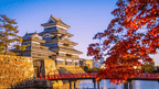 Japanese Winter Wonders | 11 Days of Shrines, Snow Monkeys & Onsen Steam (3 Day Ski Add-On Option)