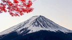 Japanese Winter Wonders | 11 Days of Shrines, Snow Monkeys & Onsen Steam (3 Day Ski Add-On Option)