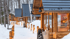Japanese Winter Wonders | 11 Days of Shrines, Snow Monkeys & Onsen Steam (3 Day Ski Add-On Option)