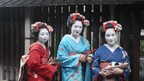 Japanese Winter Wonders | 11 Days of Shrines, Snow Monkeys & Onsen Steam (3 Day Ski Add-On Option)