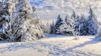 Japanese Winter Wonders | 11 Days of Shrines, Snow Monkeys & Onsen Steam (3 Day Ski Add-On Option)