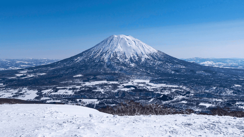 Japanese Winter Wonders | 11 Days of Shrines, Snow Monkeys & Onsen Steam (3 Day Ski Add-On Option)