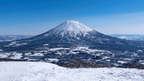 Japanese Winter Wonders | 11 Days of Shrines, Snow Monkeys & Onsen Steam (3 Day Ski Add-On Option)