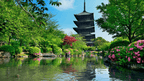 Icons of Japan | 10/14 Days of Temples, Trains & Tastes