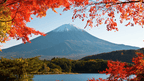 Icons of Japan | 10/14 Days of Temples, Trains & Tastes