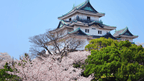 Icons of Japan | 10/14 Days of Temples, Trains & Tastes