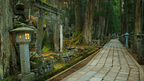 Icons of Japan | 10/14 Days of Temples, Trains & Tastes