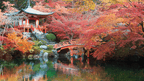 Icons of Japan | 10/14 Days of Temples, Trains & Tastes