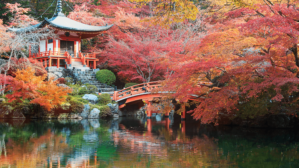 Icons of Japan | 10/14 Days of Temples, Trains & Tastes