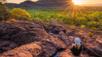 Kakadu Highlights with Katherine Gorge | 4 Days in Comfort Stays