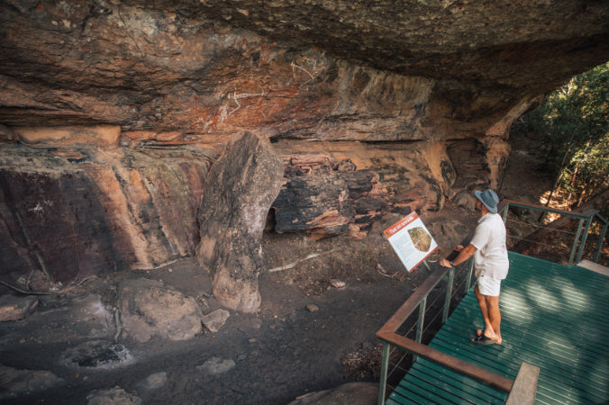 Kakadu Rock Art & Crocodile Day Tour from Darwin
