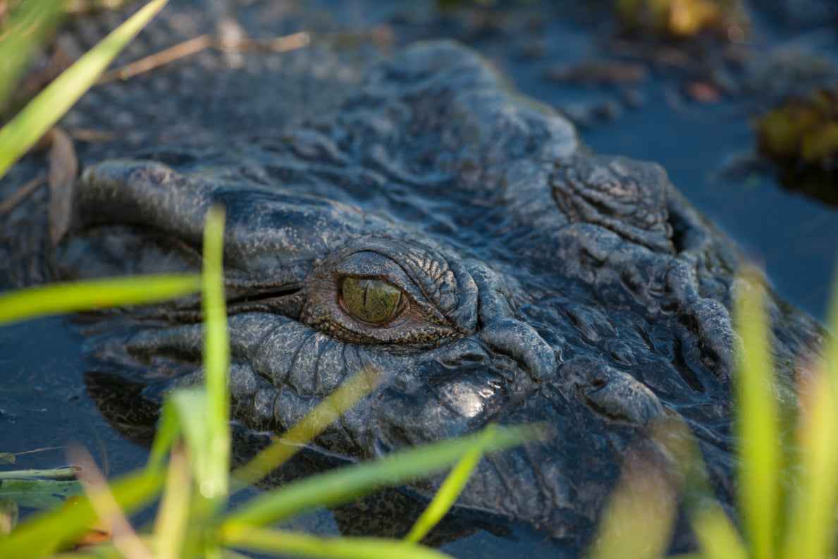 8 Day West Coast Explorer from Perth to Exmouth