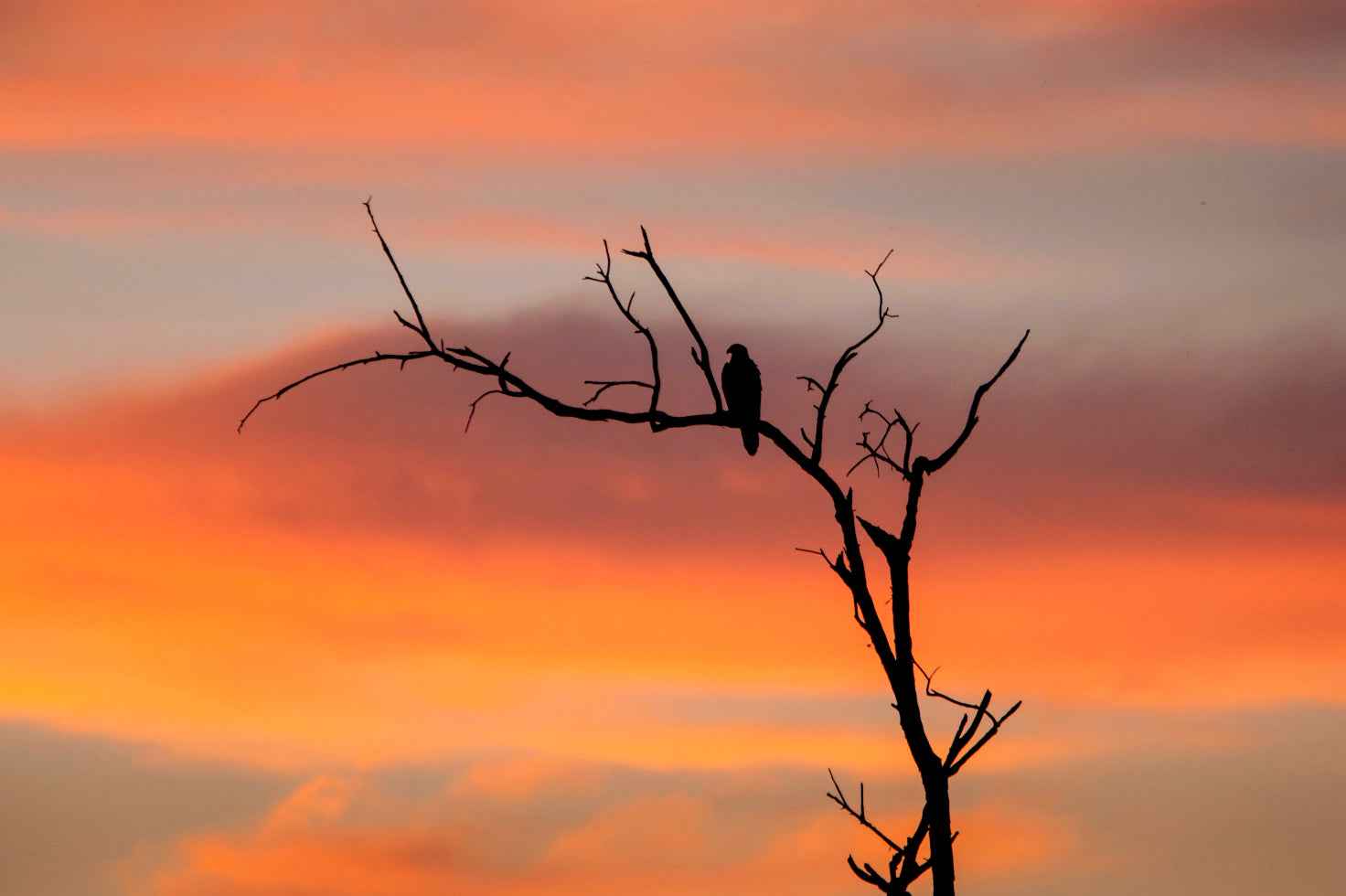 8 Day West Coast Explorer from Perth to Exmouth