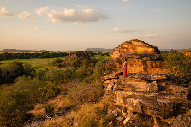 Kakadu Rock Art & Crocodile Day Tour from Darwin