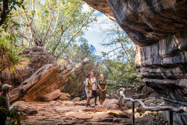 Kakadu Rock Art & Crocodile Day Tour from Darwin
