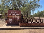 Kakadu Rock Art & Crocodile Day Tour from Darwin