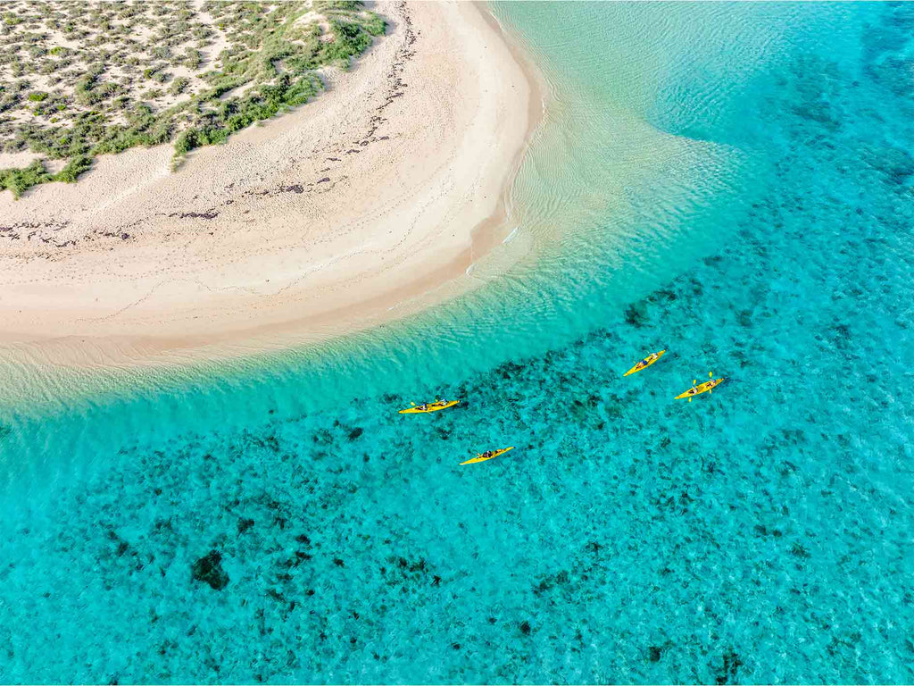 Aerial view of kayakers paddling along the Ningaloo Coast's turquoise waters during the 3-Day Kayak & Snorkel Safari.