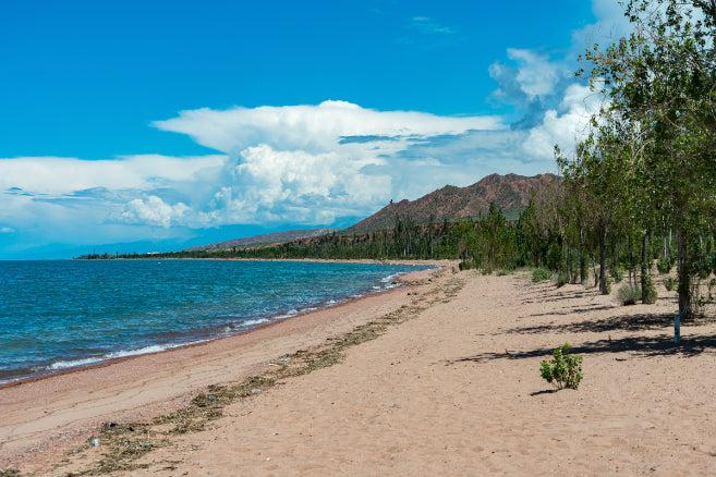 Sandy beach along Issyk-Kul Lake in Kyrgyzstan, a serene natural stop on the 14-23 Day Central Asia Silk Road Tour.
